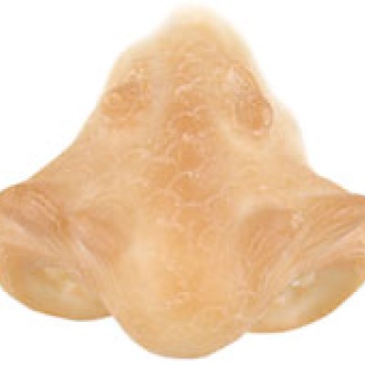 Grimas Latex Dragon Snout